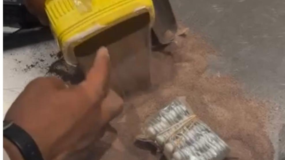 صورة من الضبطية 