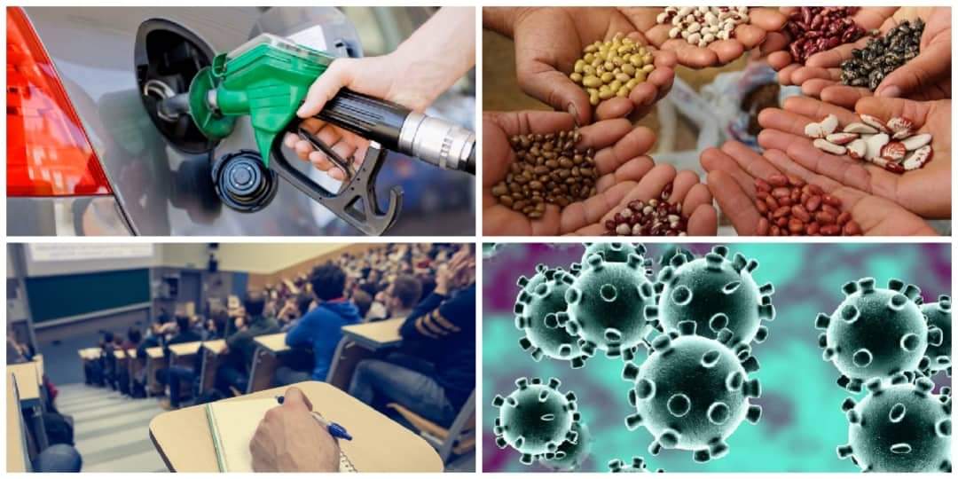 اخبار التوك شو 