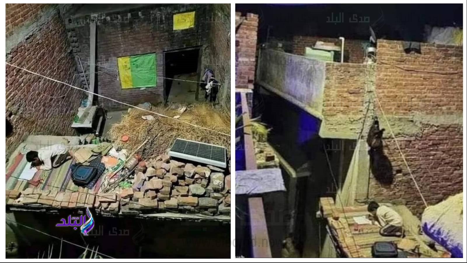 طفل يذاكر فوق السطح