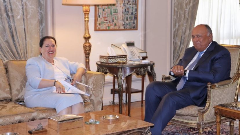 شكري يستقبل بوزار بمقر وزارة الخارجية