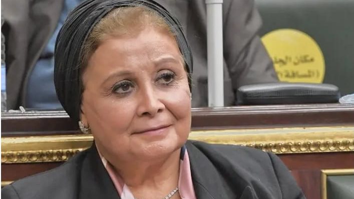 النائبة عبلة الألفى ، عضو لجنة الصحة بالبرلمان