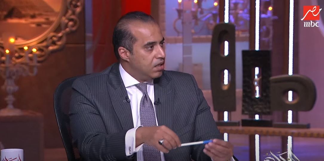 المستشار محمود فوزي 