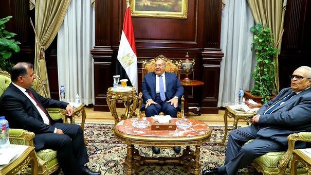رئيس مجلس الشيوخ يلتقي سفير طاجيكستان بالقاهرة