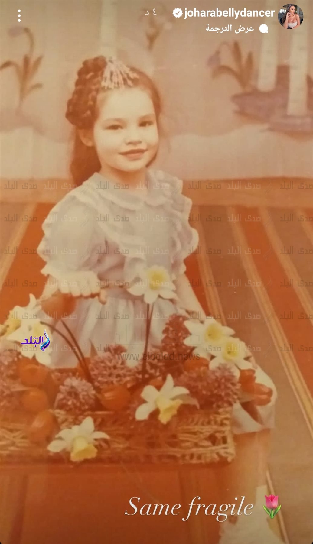 IMG_٢٠٢٢٠٩٠٦_٢٢١٣٥١