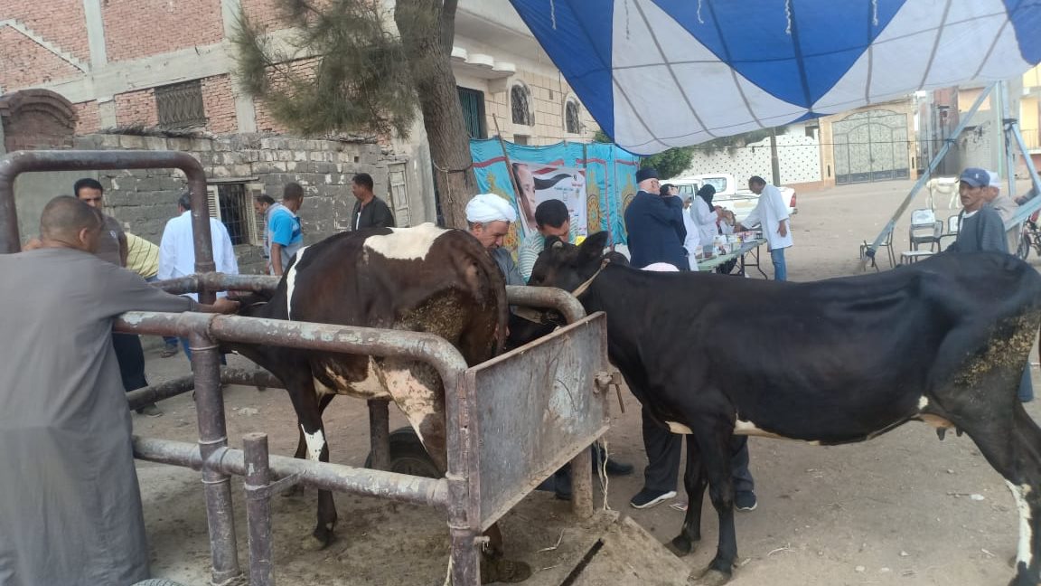 مدير الطب البيطري بالغربية 