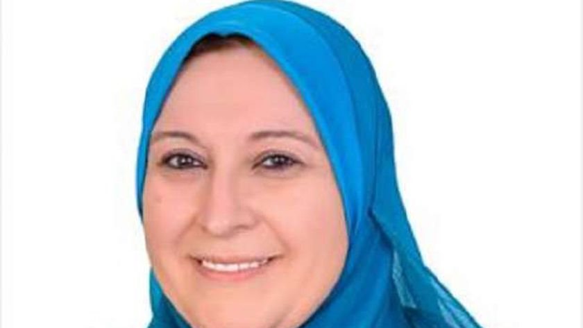 حنان حسني يشار، عضو لجنة التعليم والبحث العلمي بمجلس النواب