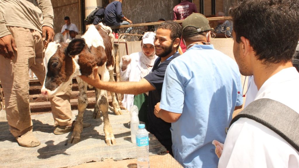 قافلة كلية الطب البيطرى بقرية شطب