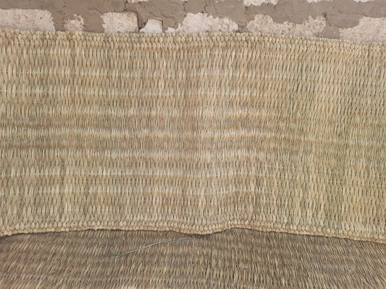 0_٢٠٢٢٠٩٠٣_١٣١٩١٠(0)