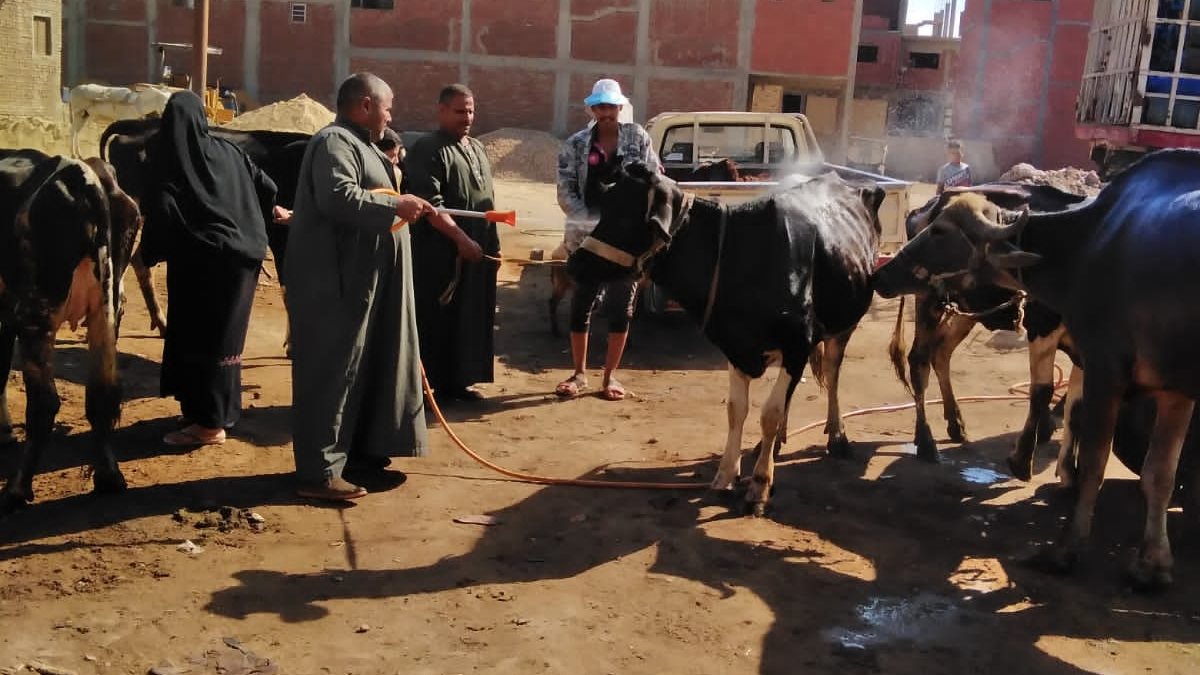 قافلة بيطرية بالغربية