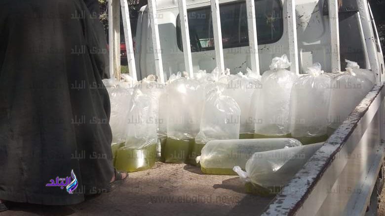زريعة أسماك 