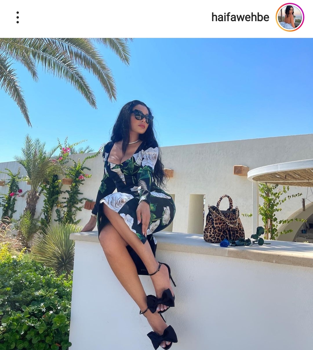 IMG_٢٠٢٢٠٩١٣_١٧٢٩٣٤