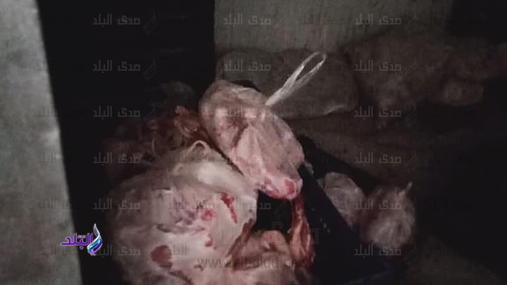 جانب من المضبوطات