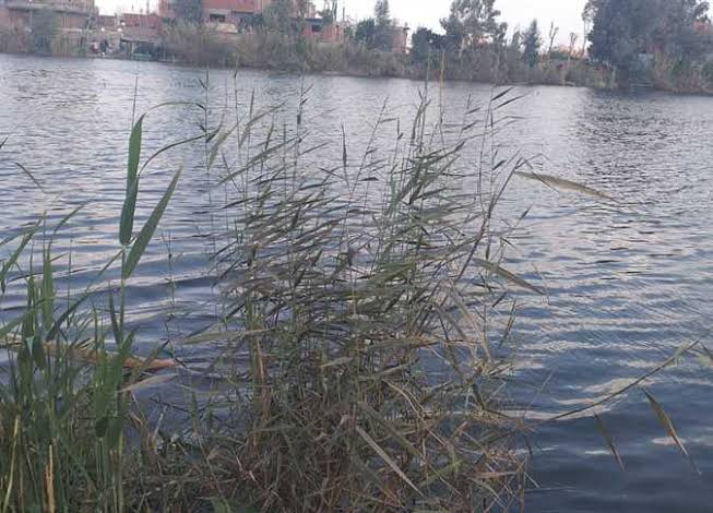 البحر الفرعوني 