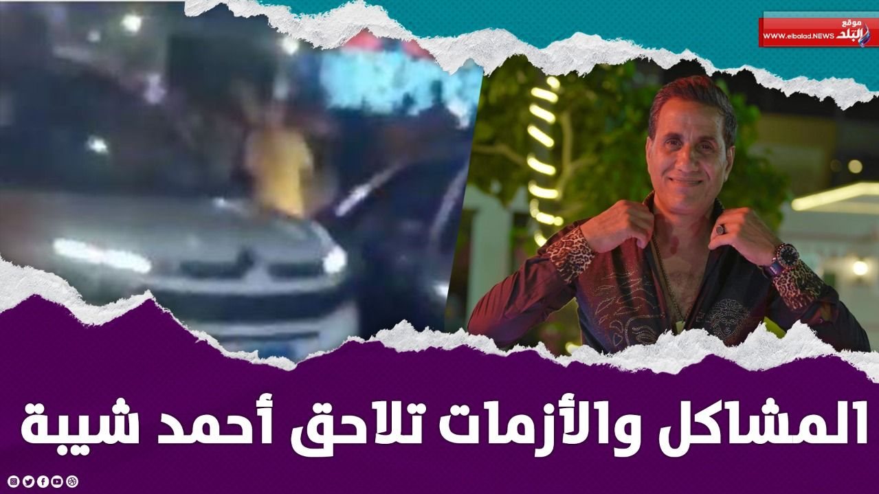 أحمد شيبه