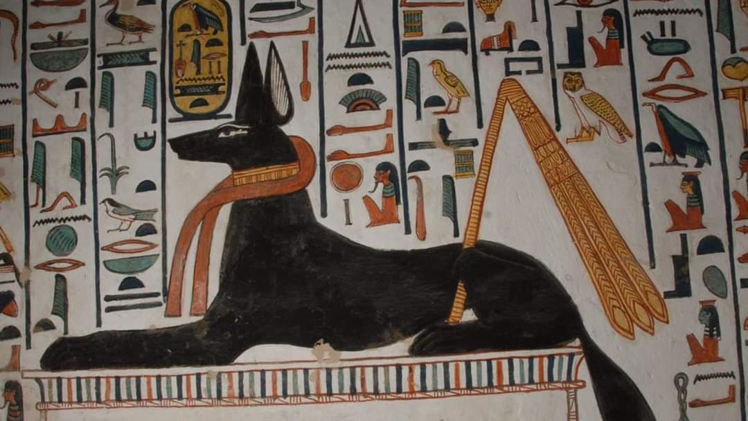 علامة المذبة