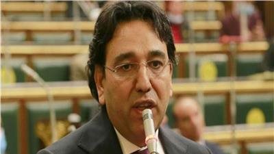 الدكتور أيمن محسب ، عضو لجنة الخطة والموازنة بمجلس النواب