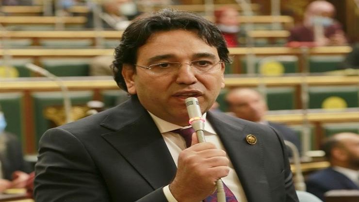  الدكتور أيمن محسب، عضو مجلس النواب