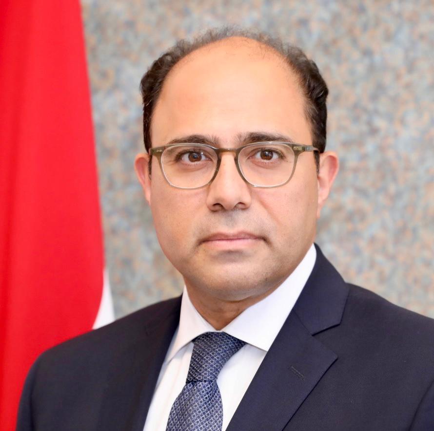 السفير أحمد أبو زيد