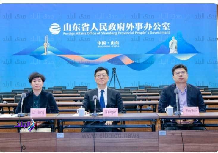 الجامعة المصرية الصينية