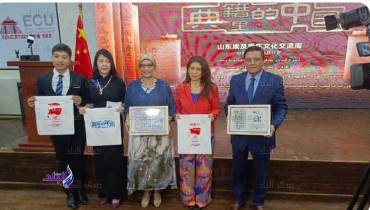 الجامعة المصرية الصينية