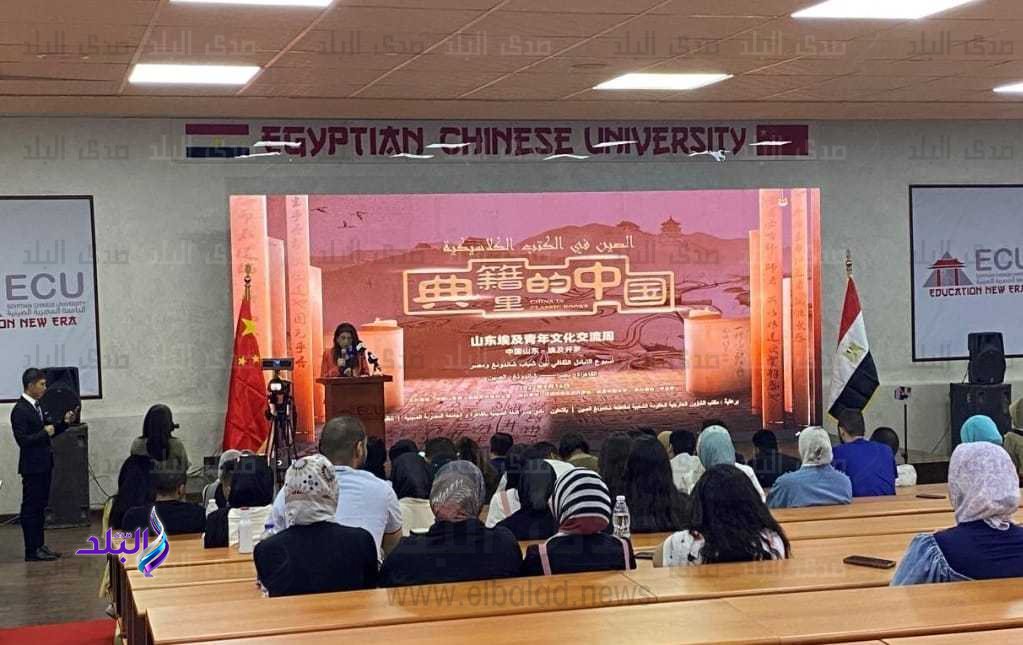 الجامعة المصرية الصينية