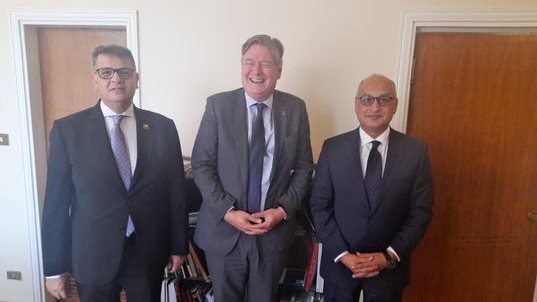 طارق رضوان، رئيس لجنة حقوق الإنسان بمجلس النواب