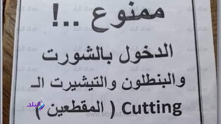 الصورة المتداولة