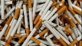 590FDEBE-007A-4EA5-B9D5-14A1FB7A3FCF