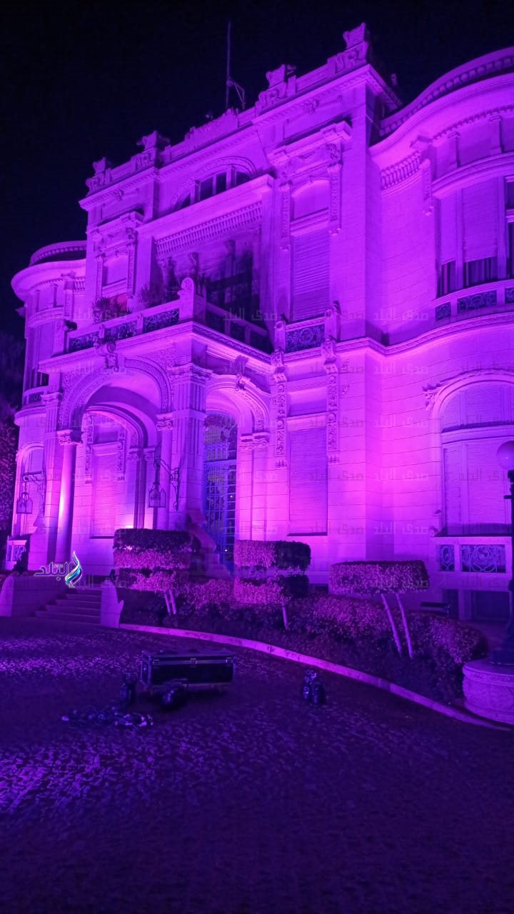 جامعة عين شمس