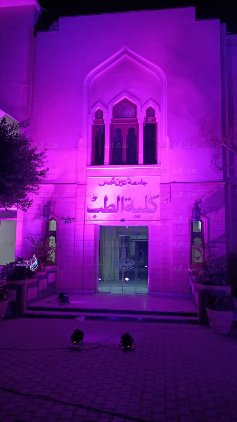 جامعة عين شمس