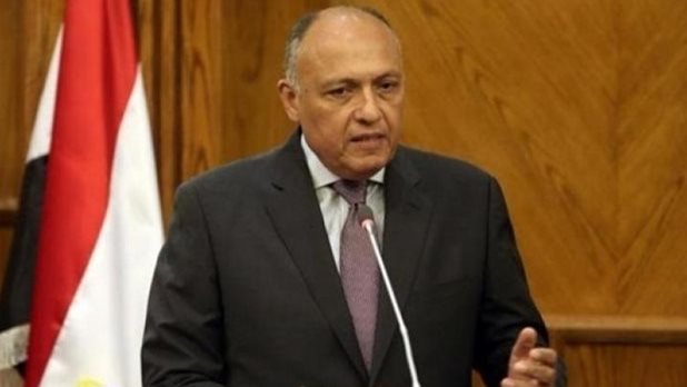 سامح شكري وزير الخارجية