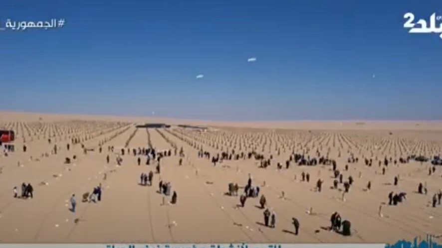 وقف النخيل
