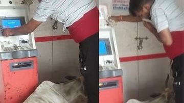 بقرة ماكينات الصراف الآلي ATM 