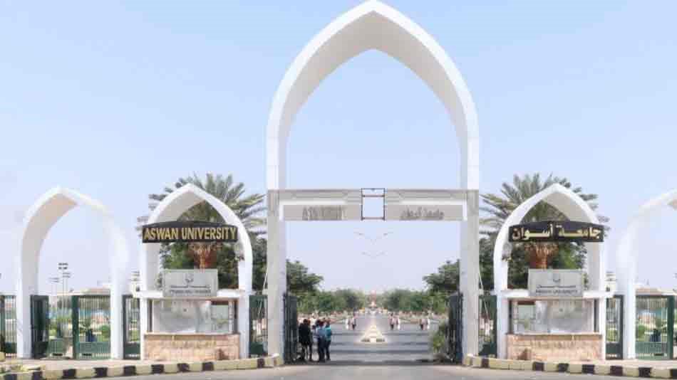 جامعة أسوان