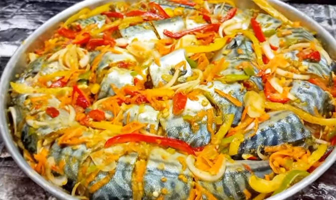 سمك ماكريل 