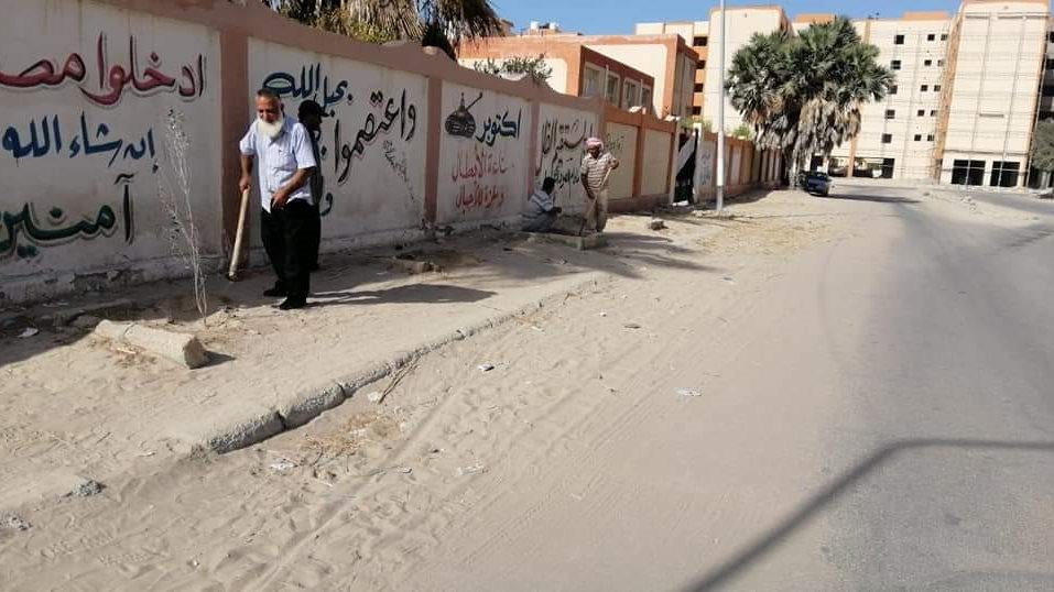 بدء زراعة الأشجار في شوارع مدينة العريش 