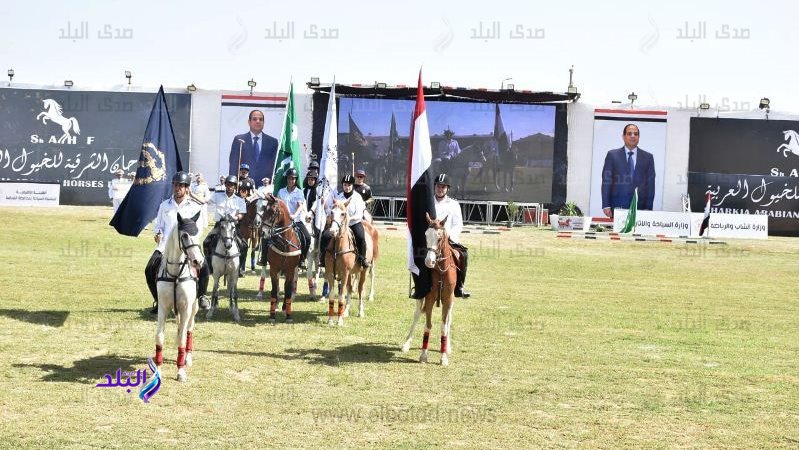 مهرجان الشرقية للخيول العربية