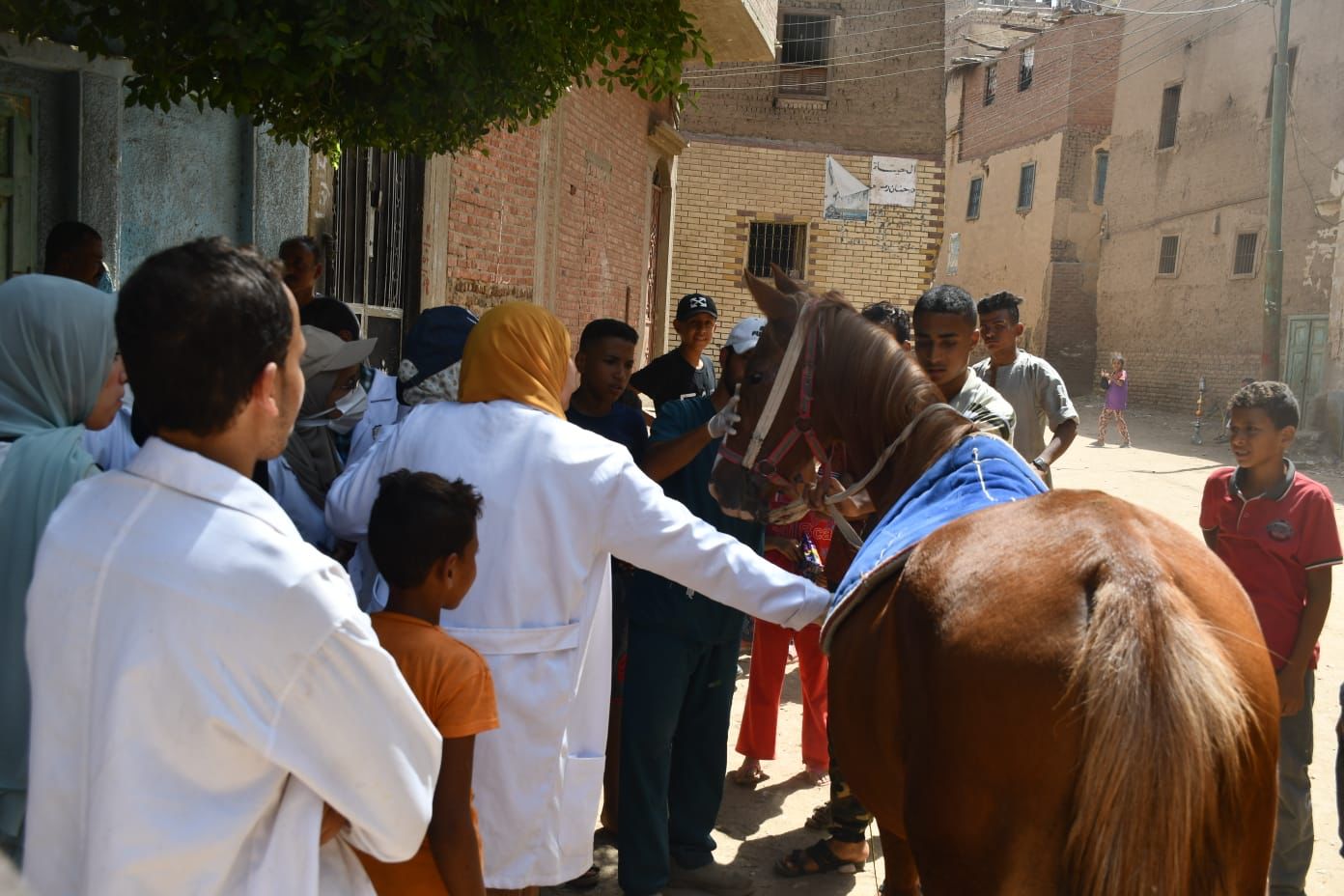 جامعة سوهاج