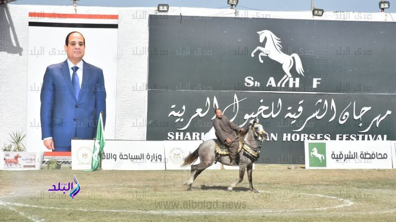 مهرجان الشرقية للخيول العربية