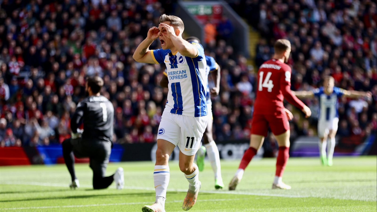 ليفربول وبرايتون