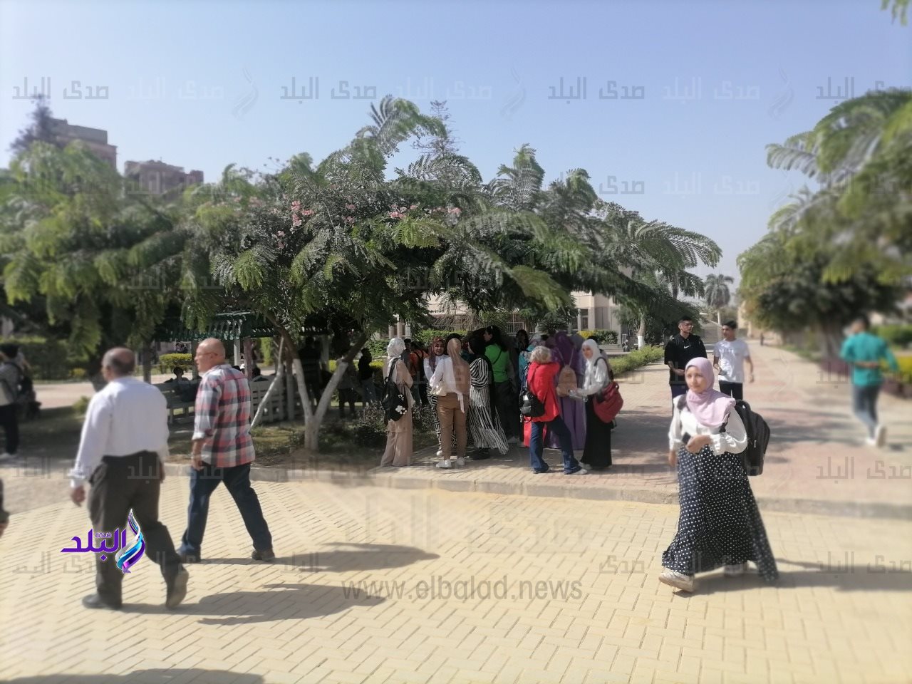 كلية الزراعة جامعة عين شمس