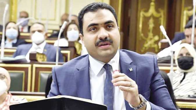 محمود قاسم عضو مجلس النواب 