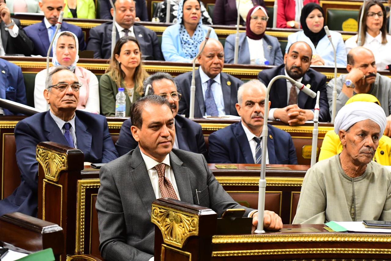 المستشار علاء فؤاد / وزير شئون المجالس النيابية