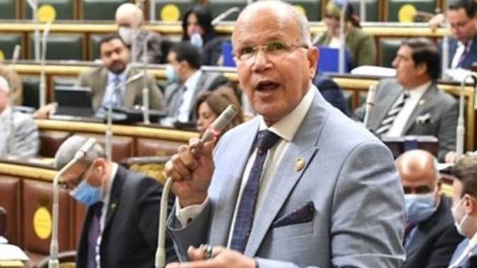 السيد شمس الدين ، عضو مجلس النواب 