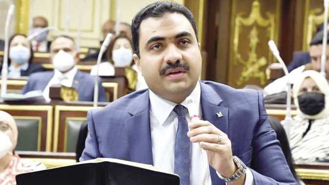 النائب محمود قاسم عضو مجلس النواب