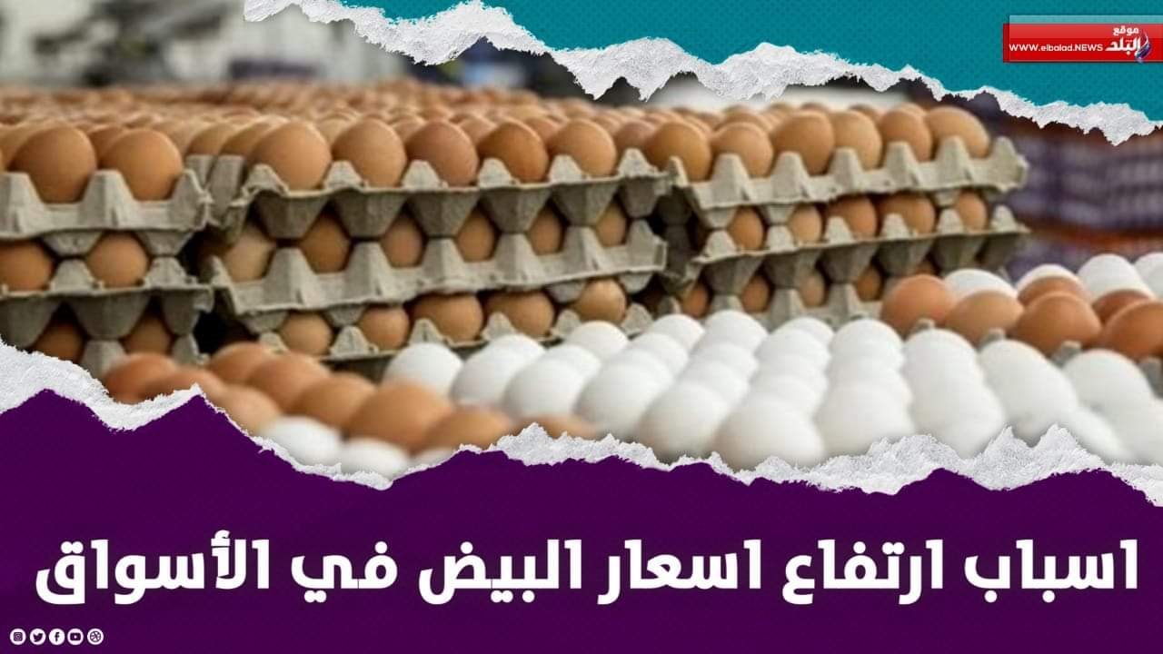 كرتونة البيض