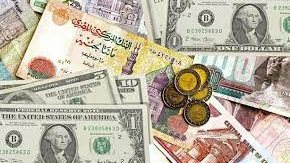 سعر الدولار