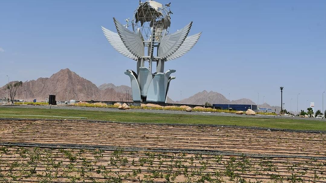 التشجير عند أيقونة السلام 