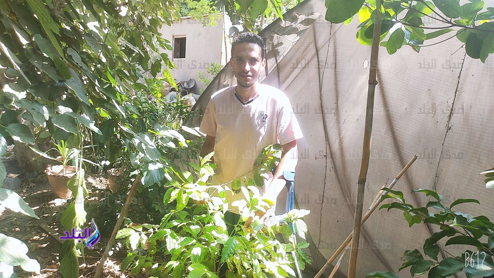 IMG_COM_٢٠٢٢١٠٠٨_١٢٢٠_٣٨_٣٩٢13