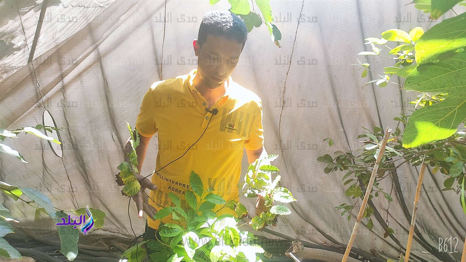 IMG_COM_٢٠٢٢١٠٠٨_١٢٢٠_٣٨_٧٨٦22